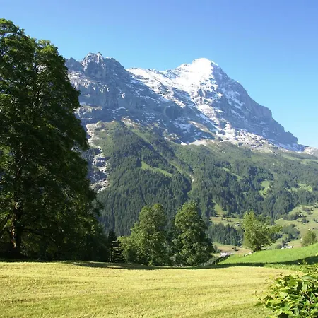 Nussbaum - Griwa Rent Ag 아파트 그린델발트