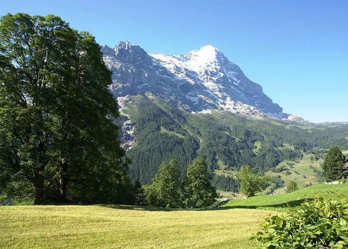 Nussbaum - Griwa Rent Ag Apartment Grindelwald