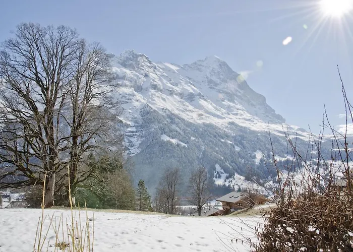 Apartment Nussbaum - Griwa Rent Ag Grindelwald